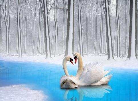Snow Wallpapers screenshot 10