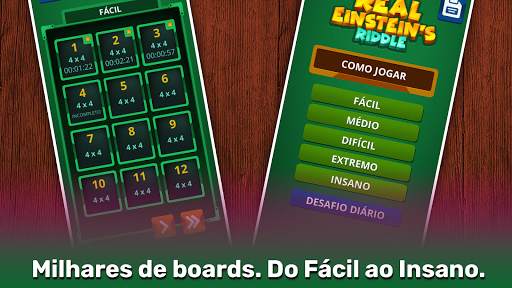 Einstein Riddle Charada Lógica screenshot 8