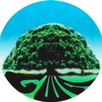Kuusaa Walaloo icon