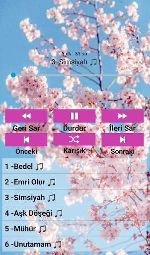 Mustafa Ceceli (internetsiz) screenshot 1