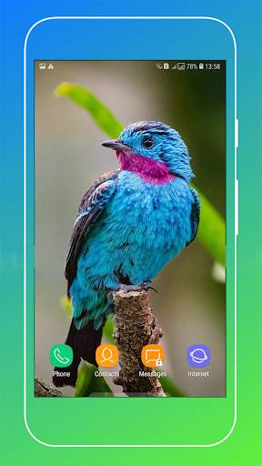 Bird Wallpaper screenshot 7
