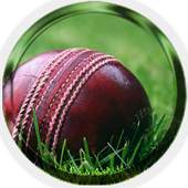 Cricket Ball 1.0