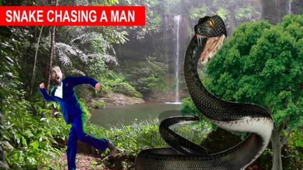 Angry Snake Crazy Chase Simulator screenshot 3
