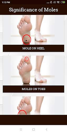 Meaning of Moles screenshot 2
