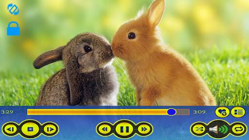 XS FLV Player screenshot 1