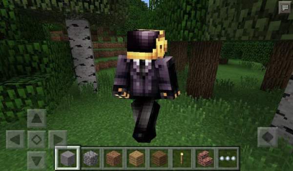 Mod Skin for Minecraft PE screenshot 5