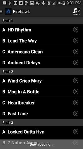 Firehawk Remote screenshot 2