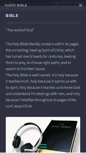 Audio Bible screenshot 3