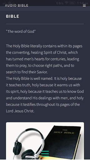 Audio Bible screenshot 3