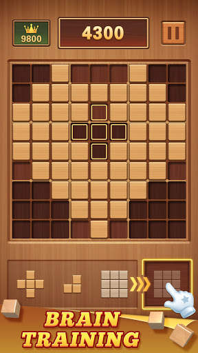 Wood Block 99 - ปริศนาซูโดกุ screenshot 5