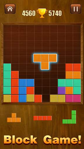 Wood Block Puzzle скриншот 2
