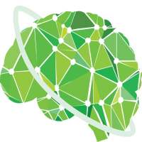 Fast Brain