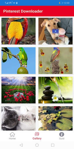Downloader for Pinterest screenshot 3