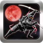 Ninja Fight