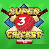 New Super Cricket 3 1.3