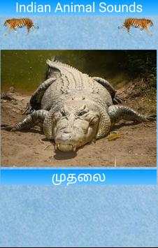 Indian Animal Sounds screenshot 6