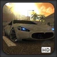 Driver Car Parking
