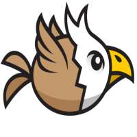 Angry Eagle