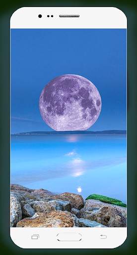 Moonlight Wallpaper 4K screenshot 11