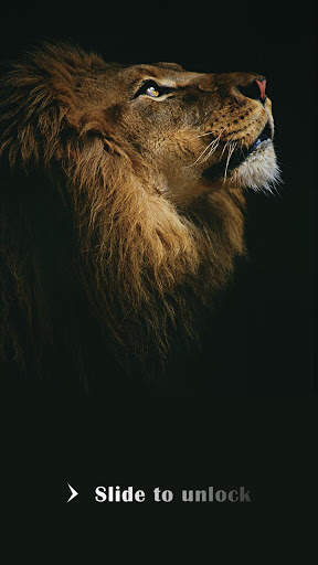AppLock Theme Lion screenshot 3