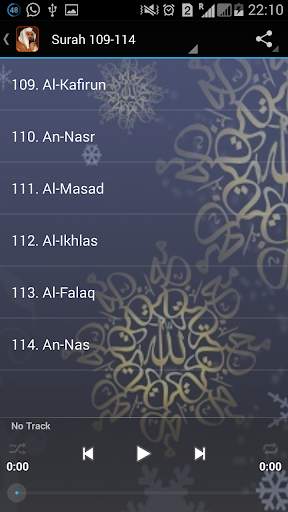 SUDAIS QURAN AUDIO OFFLINE screenshot 6
