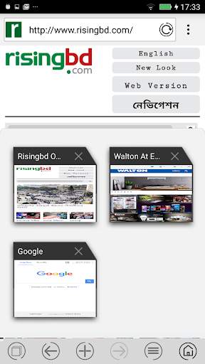 WBrowser screenshot 5