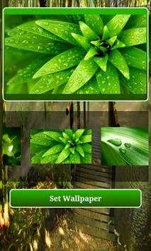 Natural wallpaper HD screenshot 4