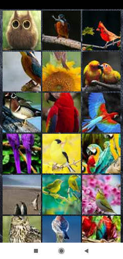 Bird Wallpaper Full HD screenshot 8