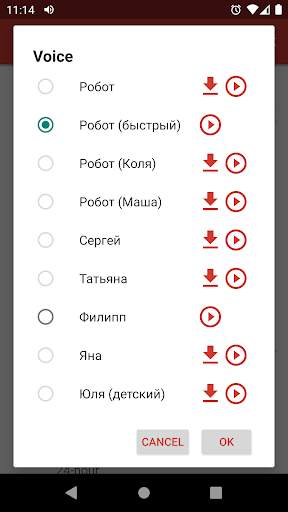 Говорящие часы DVBeep скриншот 7