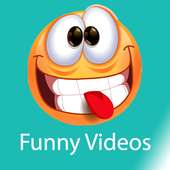 Funny Videos
