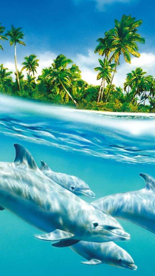 Tropical Live Wallpaper screenshot 2