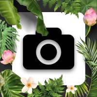 Plant Identification, Mushroom Identifier, LeafMap icon