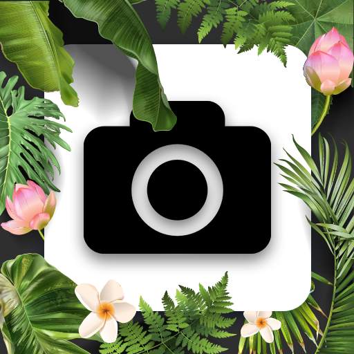 Plant Identification, Mushroom Identifier, LeafMap 2.2.0