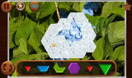 Puzzle Inlay Beautiful World screenshot 2