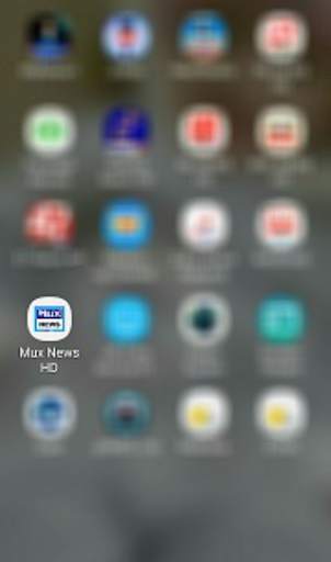 Mux News Hd screenshot 1