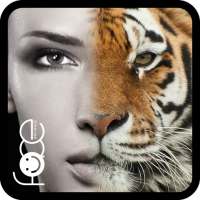 Beauty Face Plus :  face morph icon