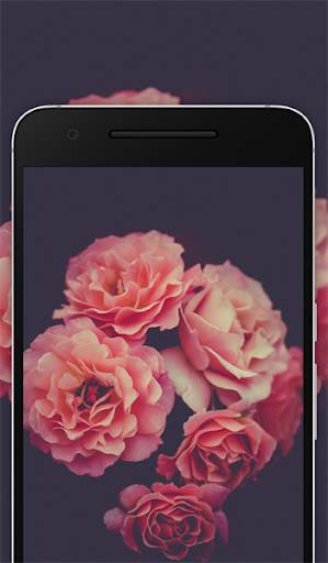 Flower Wallpaper Live - 4K Flower Wallpapers Free screenshot 6