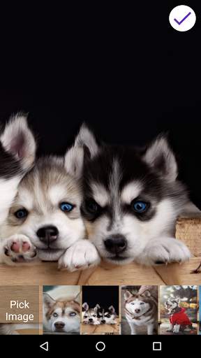 Husky Lock Screen screenshot 6
