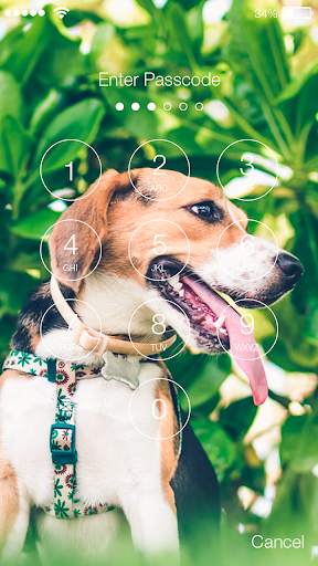 Funny Puppy Little Cute Dog Theme Nice Screen Lock screenshot 2