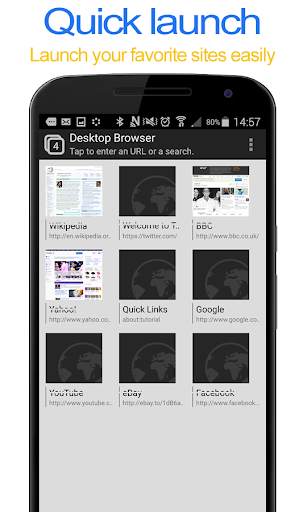 Desktop FullScreen Web Browser screenshot 6