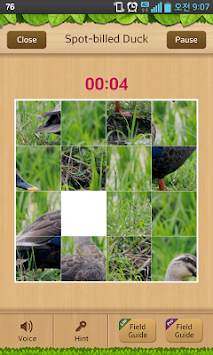 Birds of Korea Game screenshot 3
