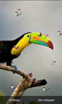J7 HD Birds Live Wallpaper screenshot 6