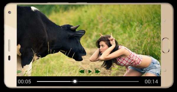 Funny Videos screenshot 4