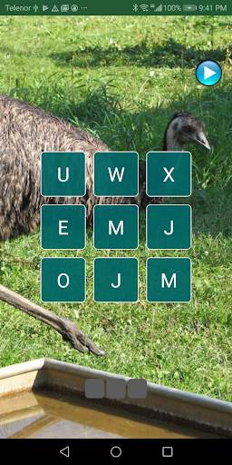 Animals sounds – learning animals and birds names screenshot 5