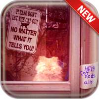 Funny Quotes Wallpapers