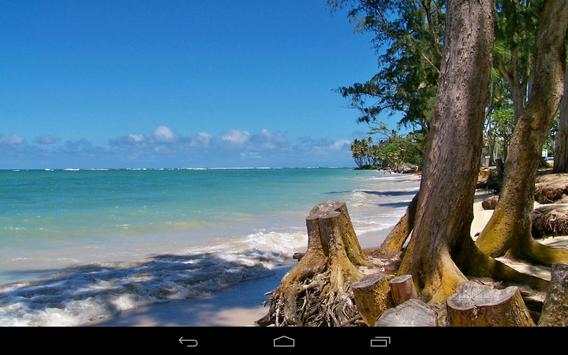 Beach Wallpaper screenshot 17