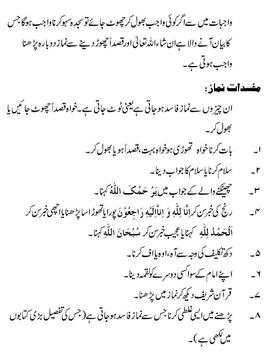 asan namaz urdu screenshot 5