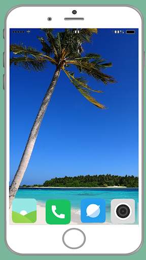 Palm Tree Full HD Wallpaper screenshot 13