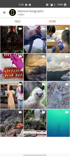 Story Saver for Instagram screenshot 4