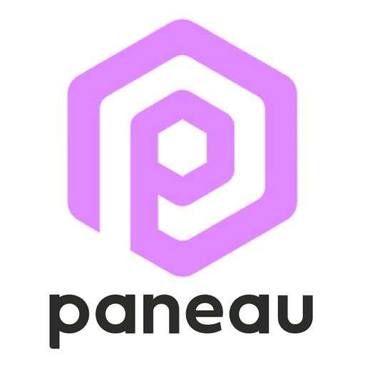 Drive With Paneau 11.0